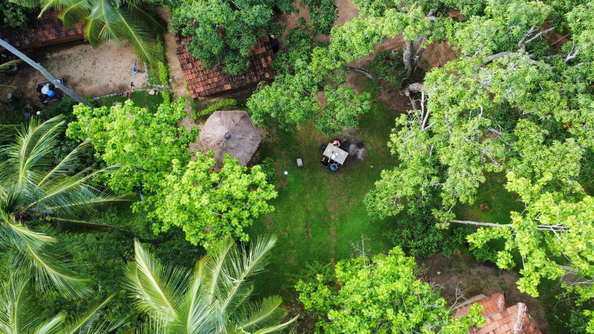 דמבולה Eco Village Kalundewa מראה חיצוני תמונה