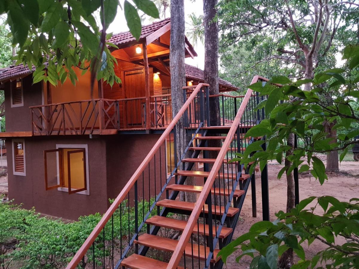 דמבולה Eco Village Kalundewa מראה חיצוני תמונה