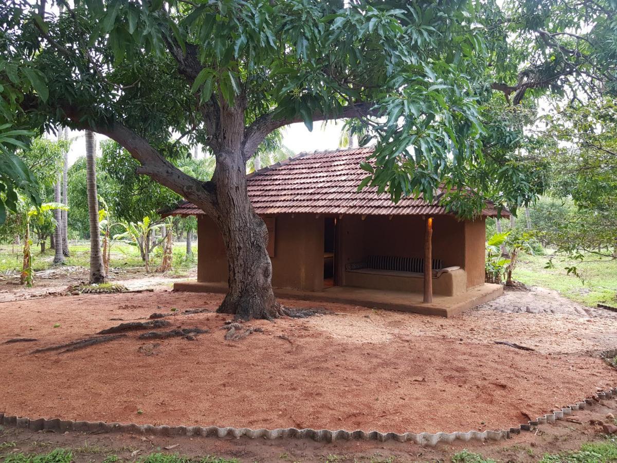 דמבולה Eco Village Kalundewa מראה חיצוני תמונה