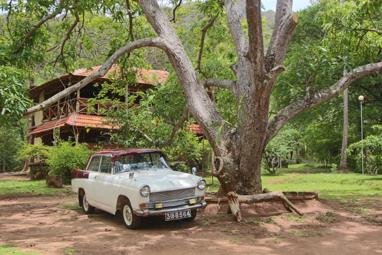 דמבולה Eco Village Kalundewa מראה חיצוני תמונה