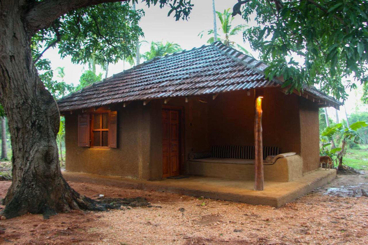 דמבולה Eco Village Kalundewa מראה חיצוני תמונה